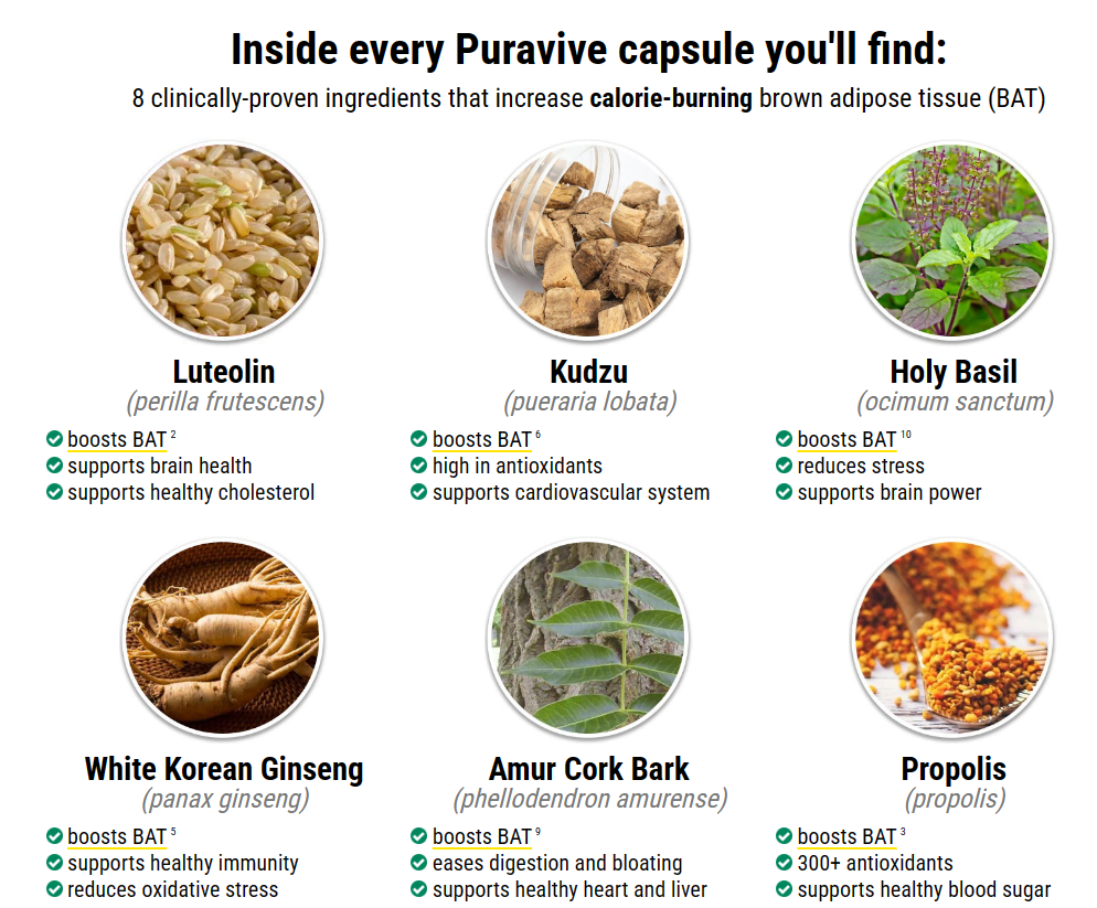 Cracking the Weight Loss Code: Puravives Powerful Science Unveiled